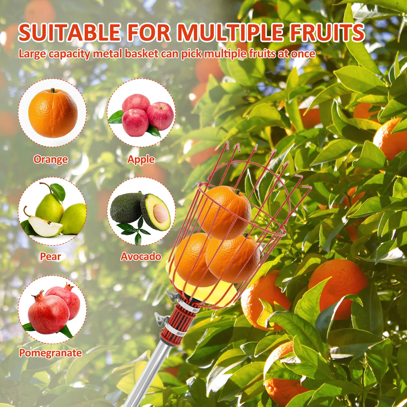 4/6 متر منتقي الفاكهة مع القطب قابل للتعديل الفولاذ المقاوم للصدأ توفير العمالة قطف الفاكهة القطب أداة البرتقال المنتقى سلة لمزرعة الكمثرى #3