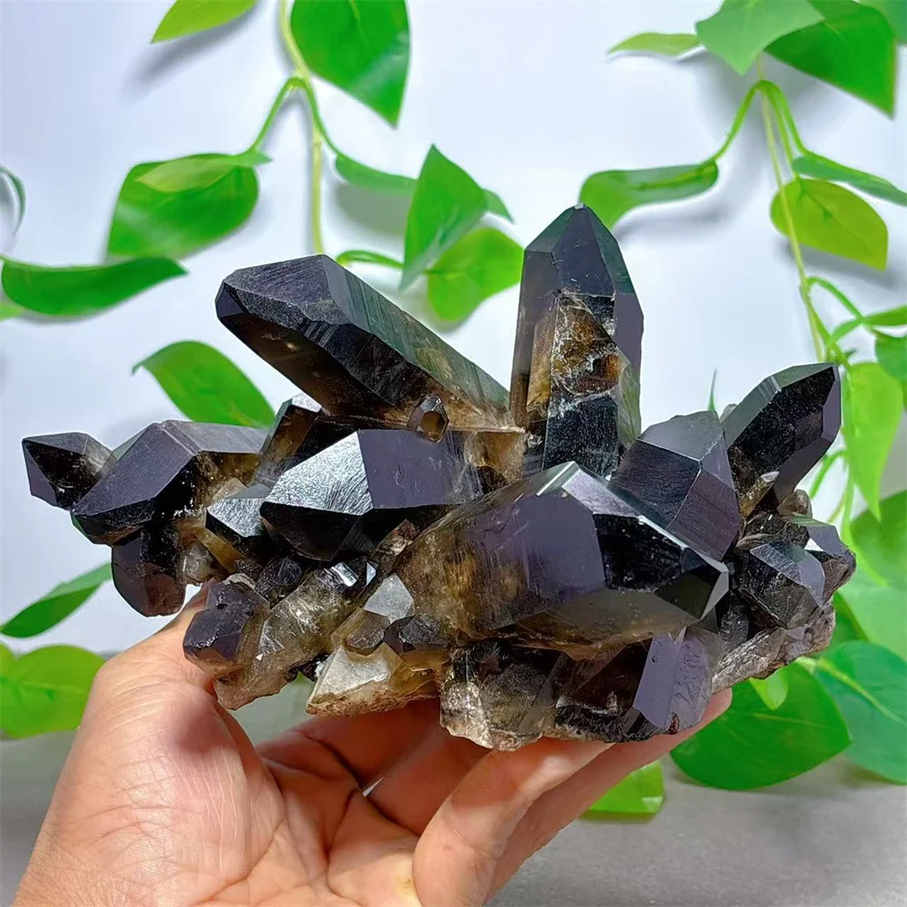 Clágulo de cuarzo negro con espécimen de Mica, cristal, piedra Natural, minerales de cuarzo, decoración del jardín del hogar, regalos de Reiki, curación energética