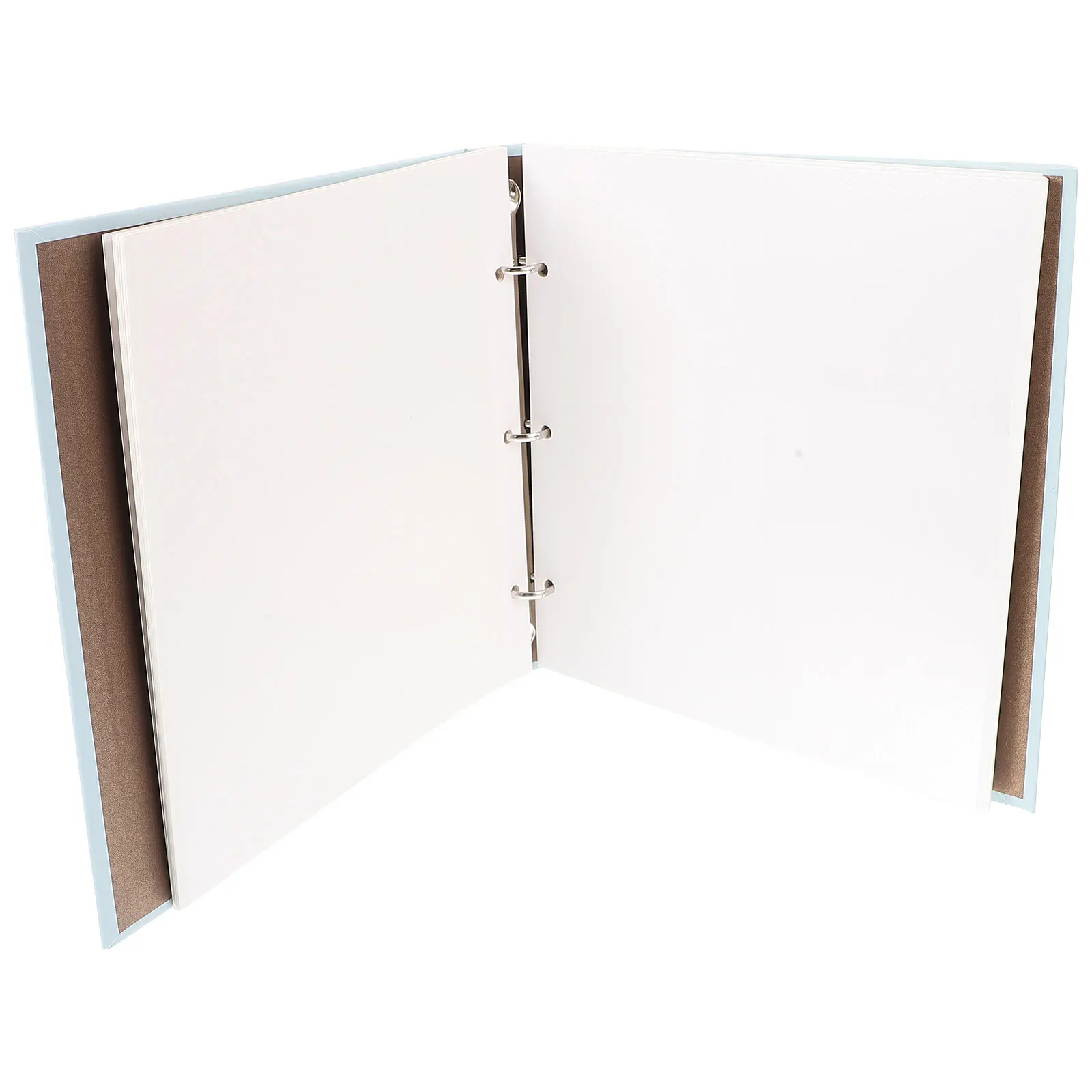 

Loose Leaf Plant Specimen Dried Flowers Storage Dried Flower Storage Album Paper Craft Project DIY Leaf Press Book Supply