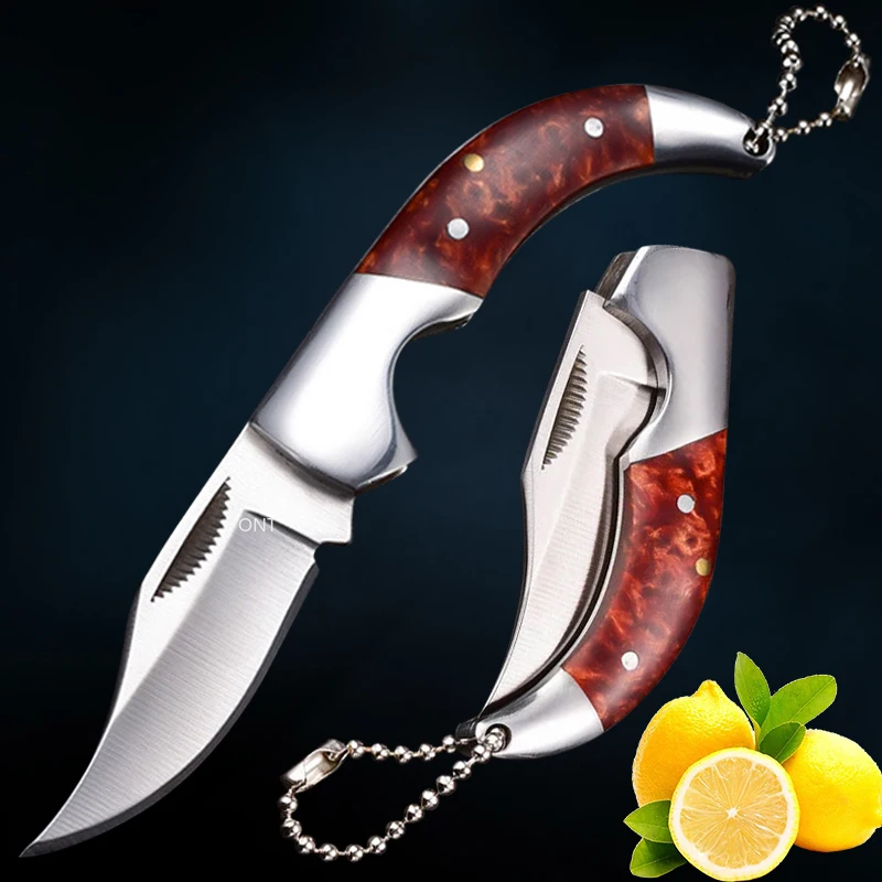 Foldable Pocket Knife with Keychain Stainless Steel Fruit Knife Utility Multi-function Knife Sharp Blade Fruit Folding Knife