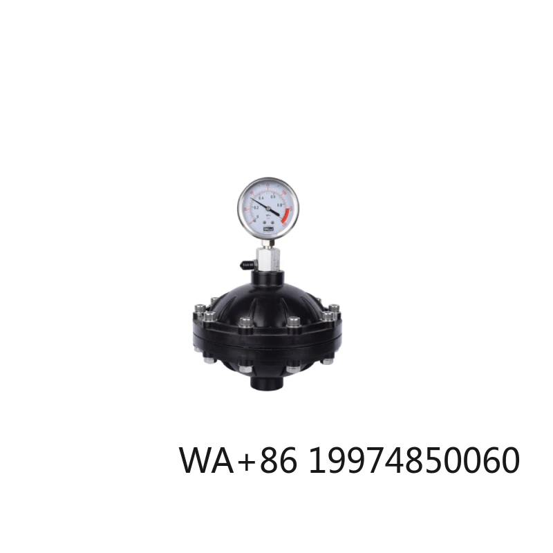 

Stainless Steel UPVC Pulsation Buffer Damper Pneumatic Structure Diaphragm Pump with Low Pressure Pulse Damper