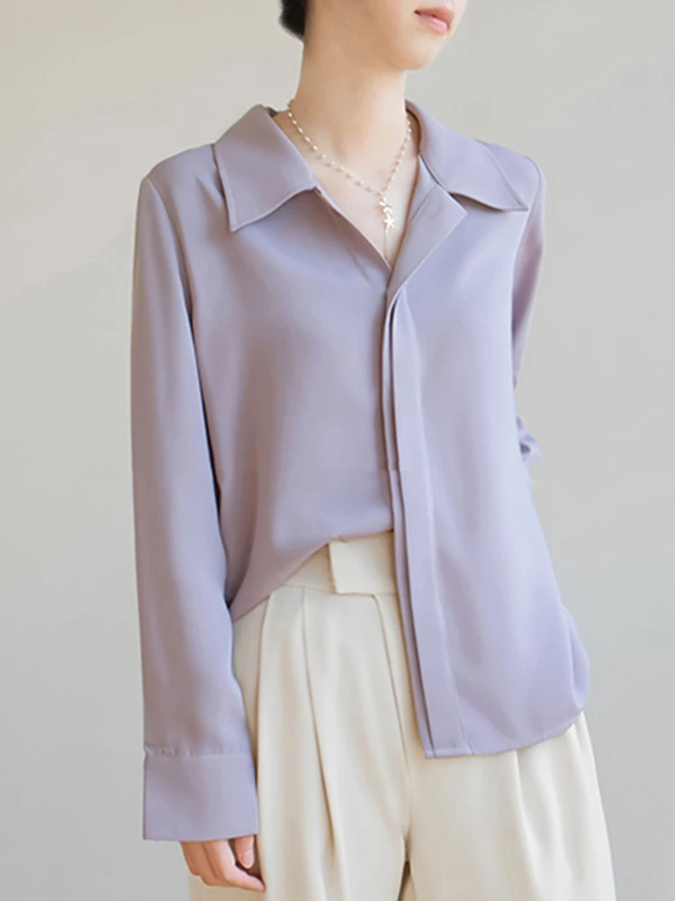 

Long Sleeve Shirts Womens Chiffon Button Down Blouses Pleated Hem Sweet Feminine Retro French Style Spring Streetwear Clothing