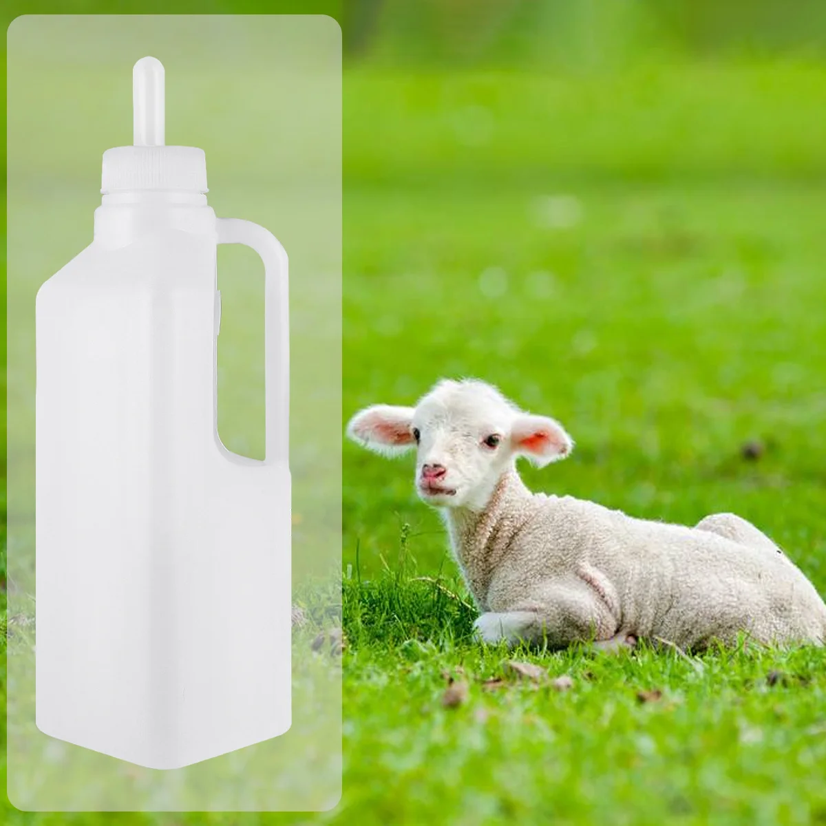 

1Set Lamb Feeder Silicone Thickened Durable Plastic 850ml Large Capacity Feeding Milk Pot for Goat Dog Pig Farm Use Silicone