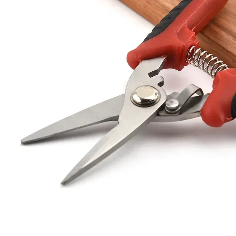 

1 шт., набор ножниц из нержавеющей стали