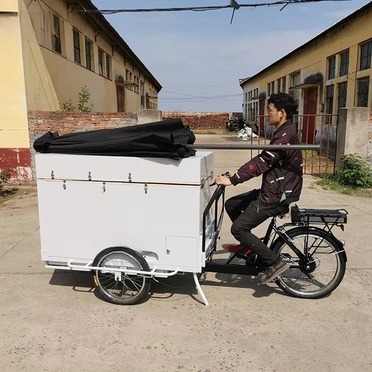 Solar Electric Ice Cream Truck with Battery Freezer