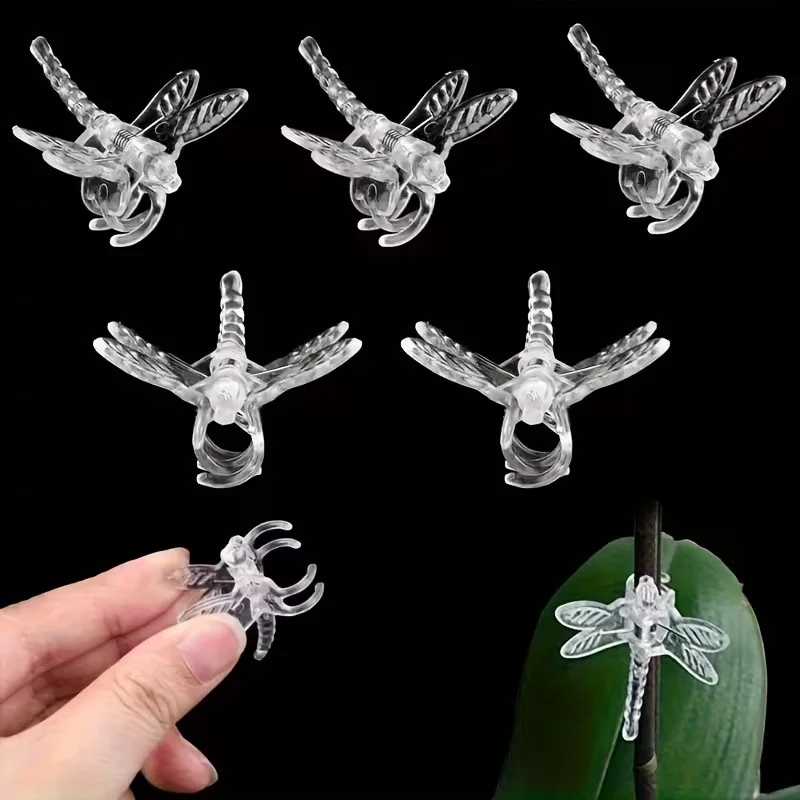 20Pcs Transparent Dragonfly Plant Support Clips, Durable Plastic Gentle Grip Training Clips with Delicate Wing Design, Indoor