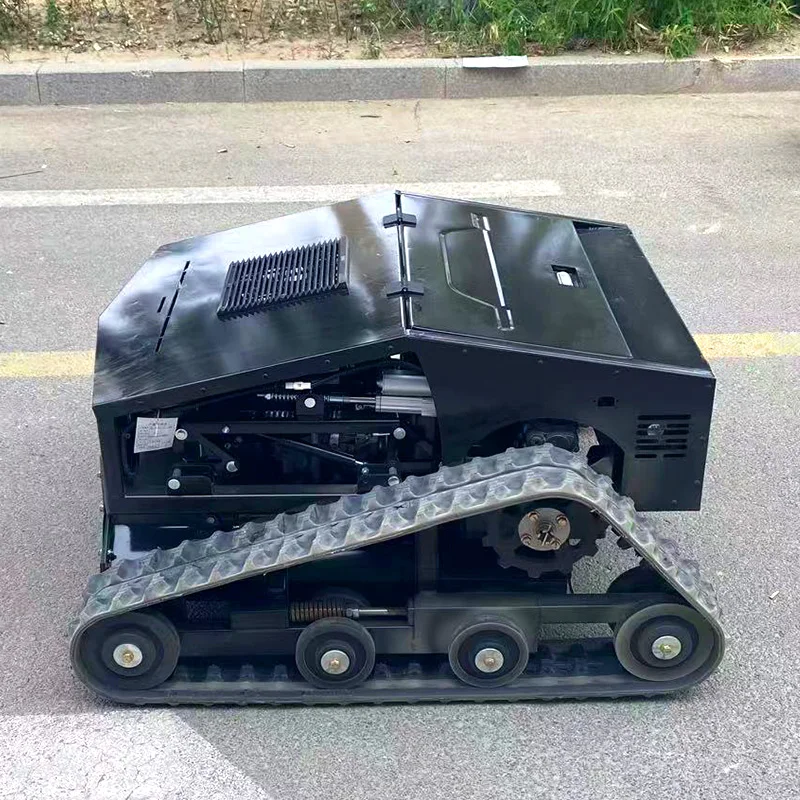 Customized EPA Ce Certified Lawn Mower Remote-controlled Intelligent Robot Flail Lawn Mower