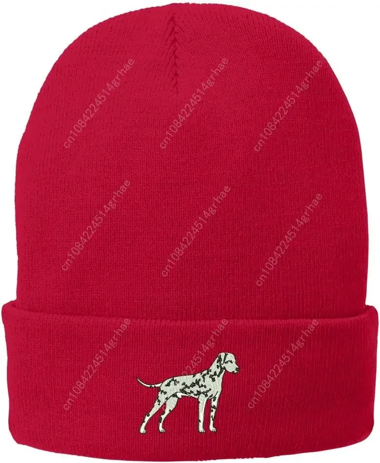 متجر الملابس العصرية قبعة طويلة محبوكة شتوية مطرزة الدلماسية