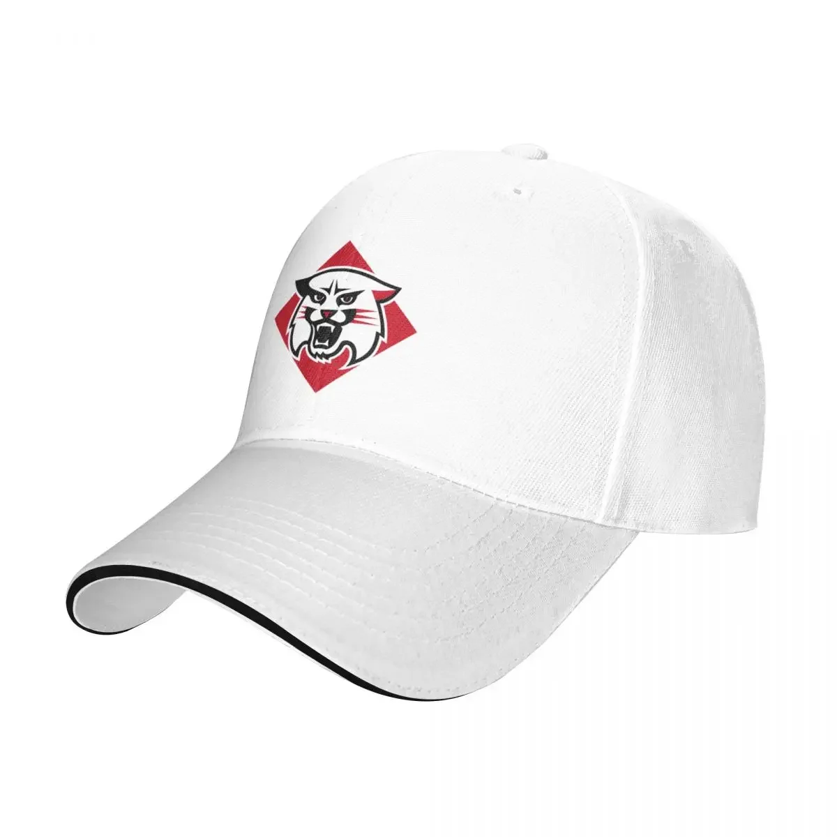 Davidson College Baseball Cap Sun Hat For Children Sunhat Hat Luxury Brand Men's Luxury Women's