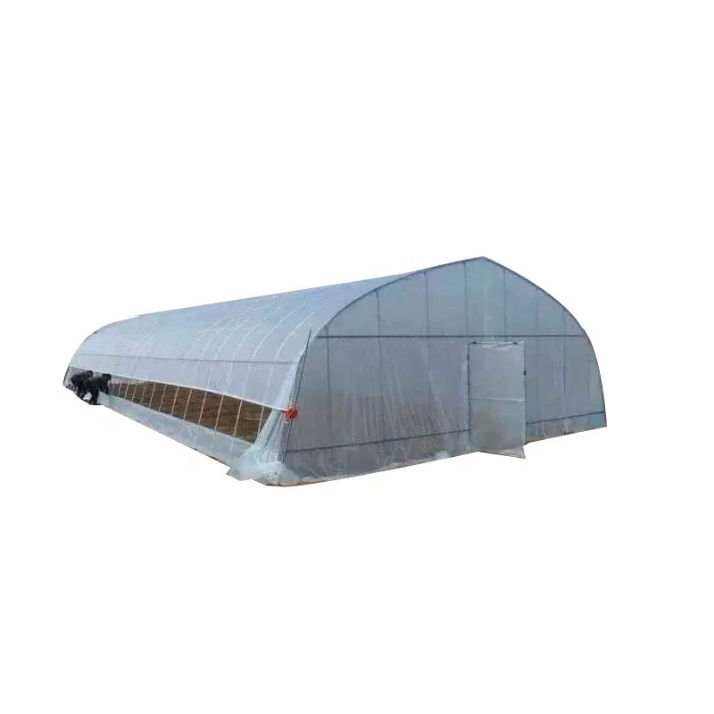 

2025Low Cost Greenhouse PC Panel Greenhouse Herbs Growing Steel Frame Tomato Greenhouses With Hydroponic System