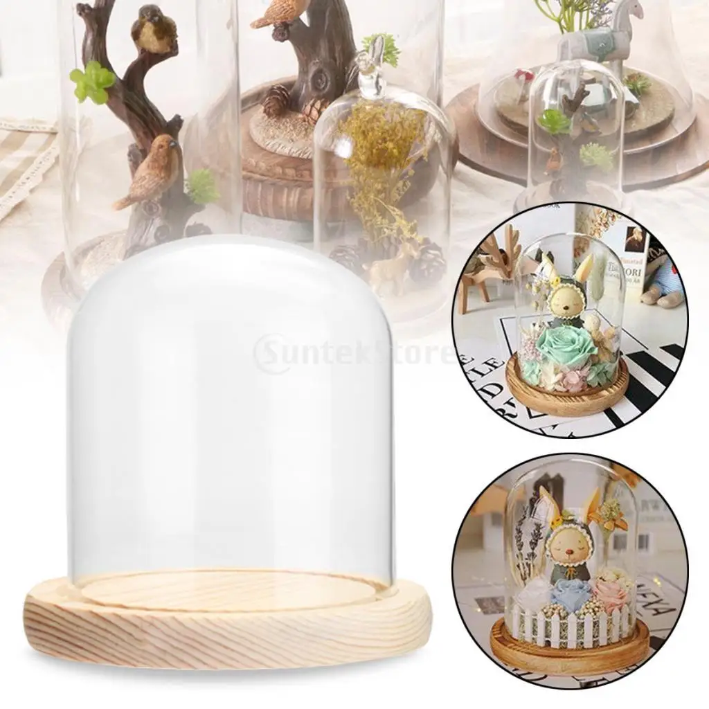 Clear Glass Display Dome with LED Wood Base Microlandscape Holder Glass Cover  for Birthday Gift Bedroom Home Decoration