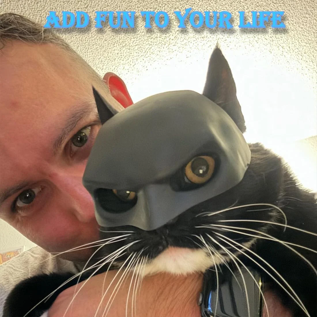 1-10PCS Matte Black Bat Avenger Style Pet Mask Superhero Cool Costume for Cats and Dogs Halloween Cosplay Party Toy