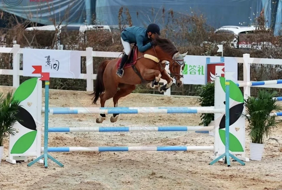 New Show Jumps Equestrian Competition Exclusive For Longines Competition