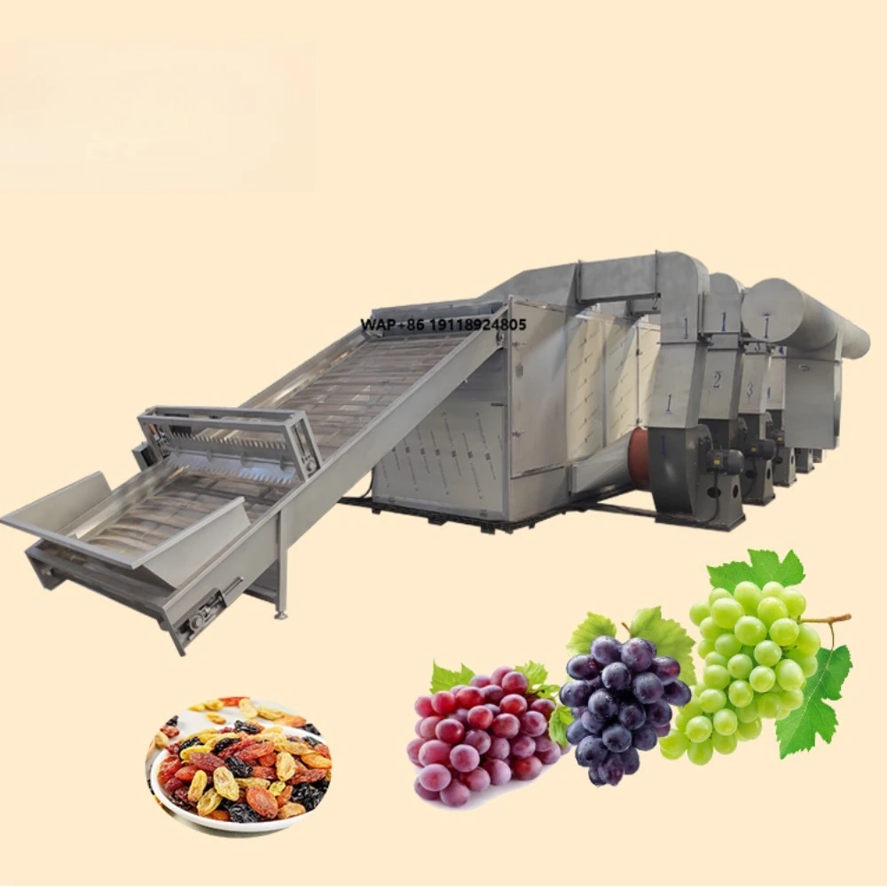 Industrial Tunnel Grape Fruit Raisin Washing Drying Machine Line Processing Equipment
