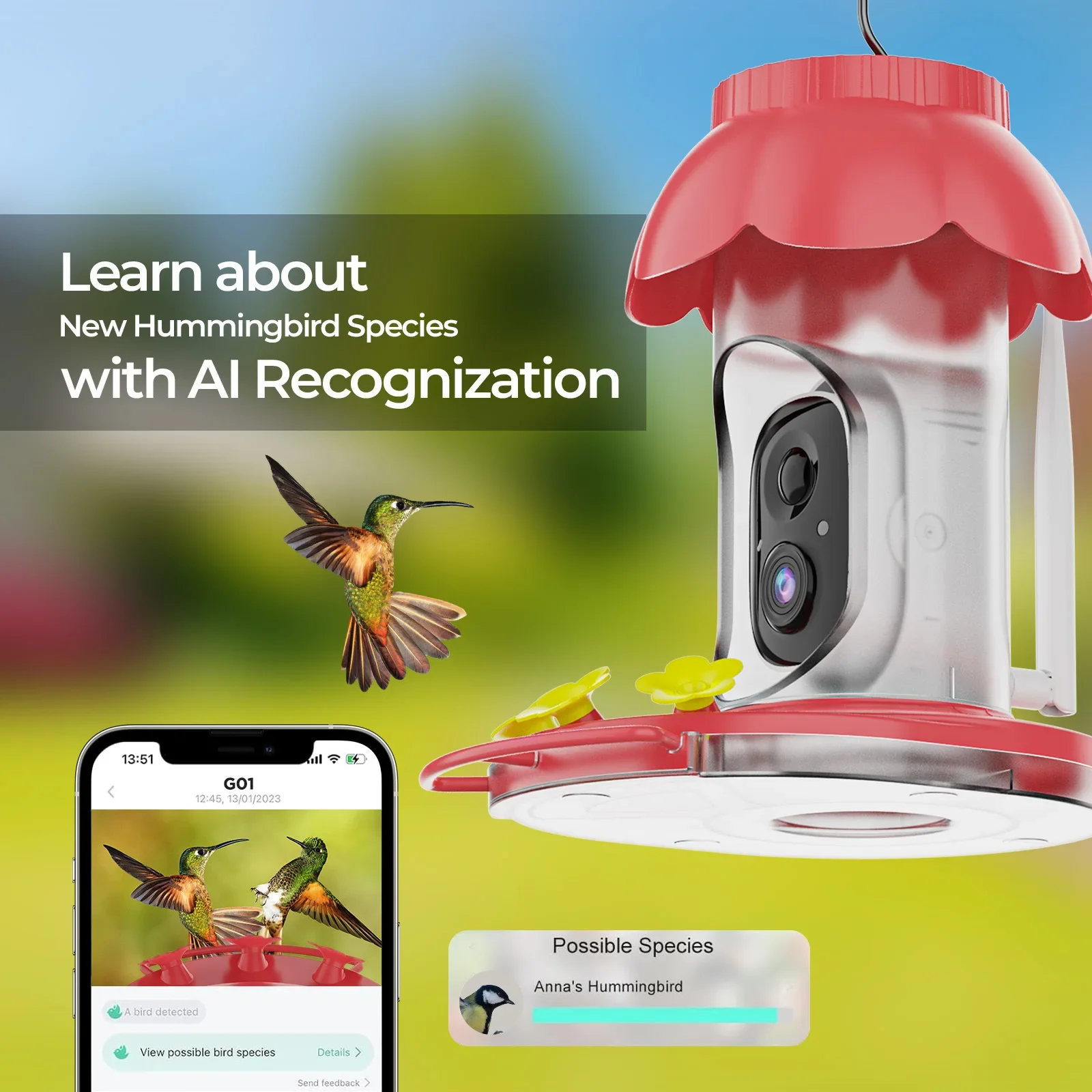 Built-in Ants Moat Bee-proof Bird Food Dispenser Ai Recognition Camera Hummingbird Water Feeder