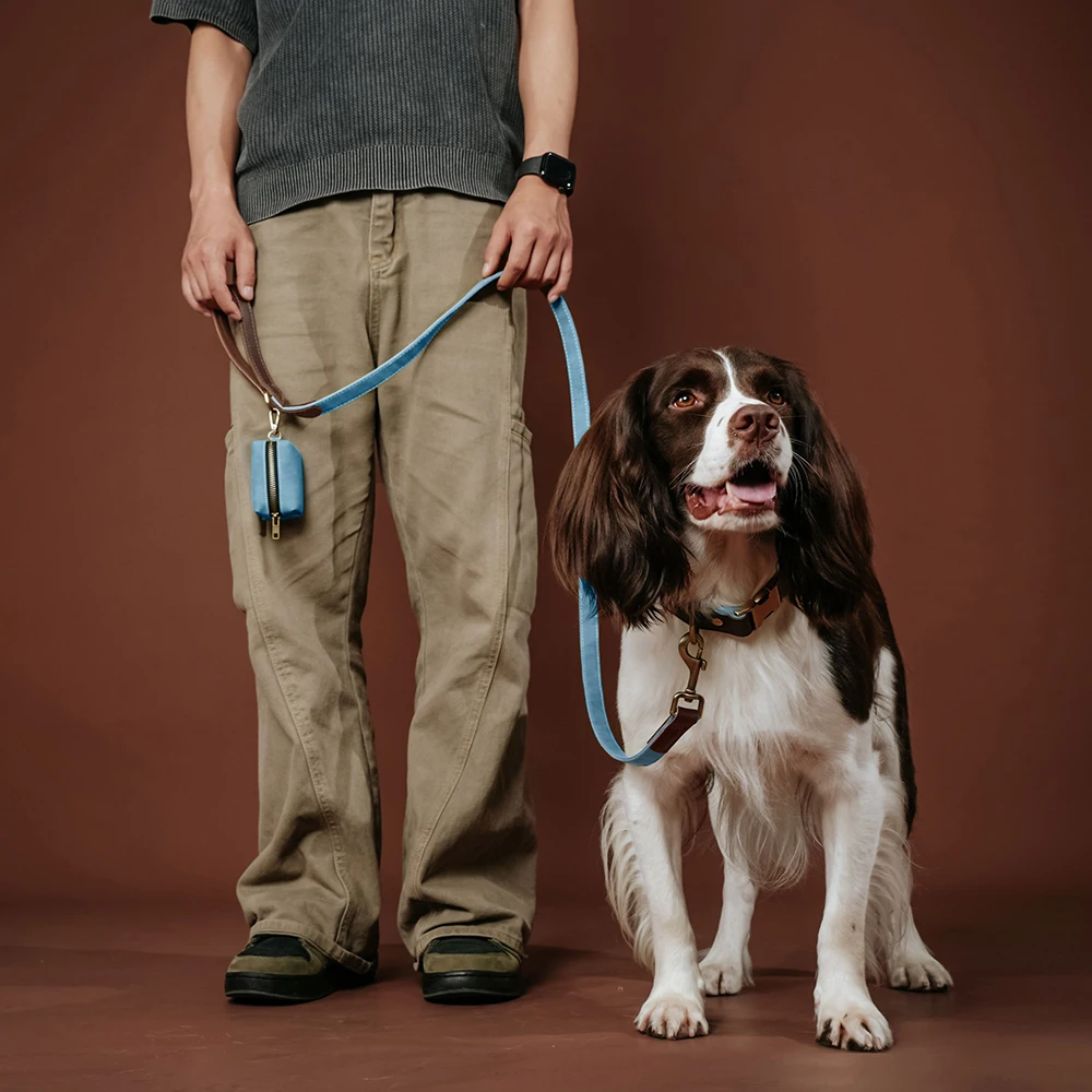 1,5m Lange PU-Leder Gepolsterte Hundeleine Langlebige & Retro-Hundeleine für Kleine und Mittelgroße Hunde in 9 Farben Erhältlich – Detail 12