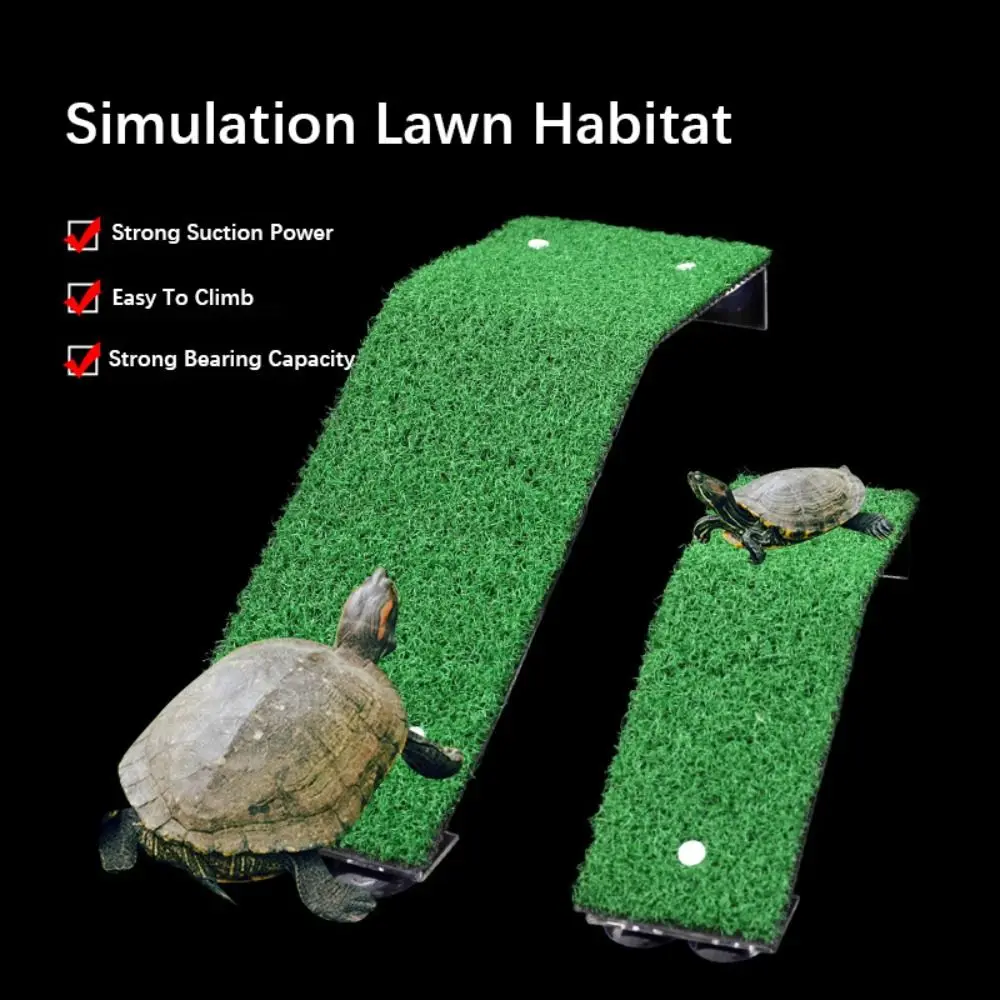 AcrylicReptileRampPlatformRectangularStrongLoad-bearingTurtleBaskingSunbathingPlatformPowerfulSuctionCup-AliExpress15