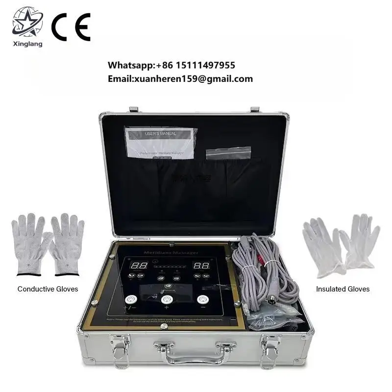 3000Hz DDS Bioelectric Desktop ABS Pain Relief Meridian Therapy Metabolism Booster Beauty Health Machine for Massage Device