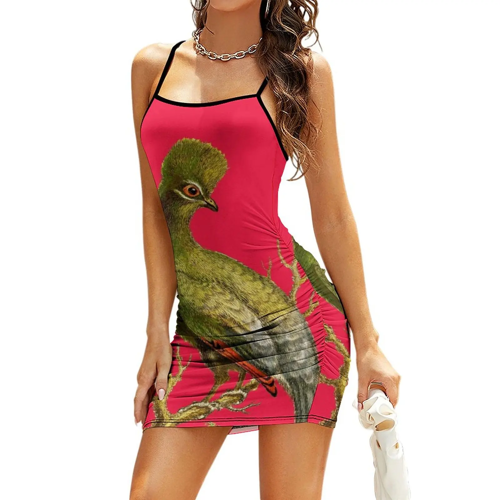 

Touraco - Bird HD vintage image from encyclopedia number 18 Sling Dress Party dresses loose summer dress Dress