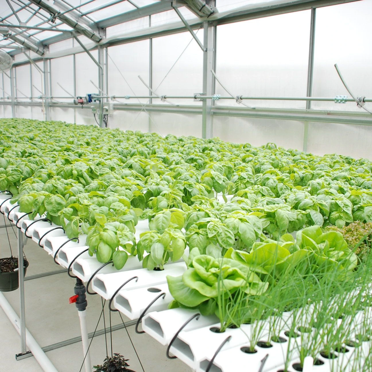 

2025Skyplant Vertical Aeroponic Growing System Hydroponic Grow Tower Garden