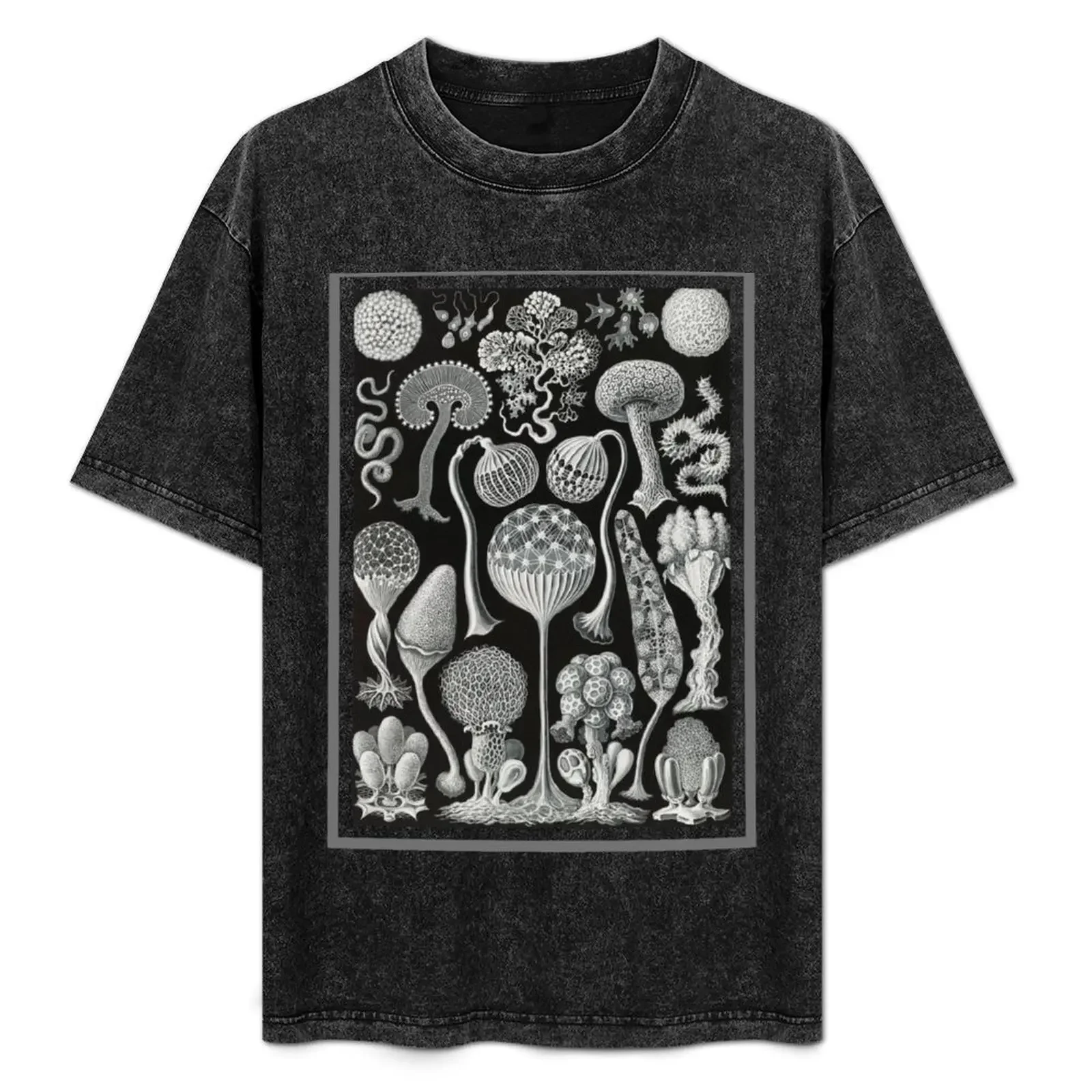 

Slime Mold - Nature T-Shirt cotton t shirt man t shirts for man graphic vintage T-Shirt