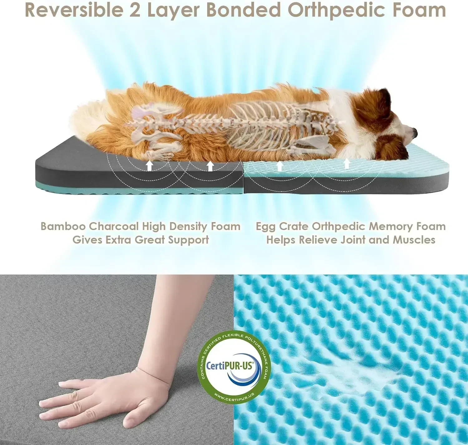 Hot salesStable Foldable Human Dog Bed, 72