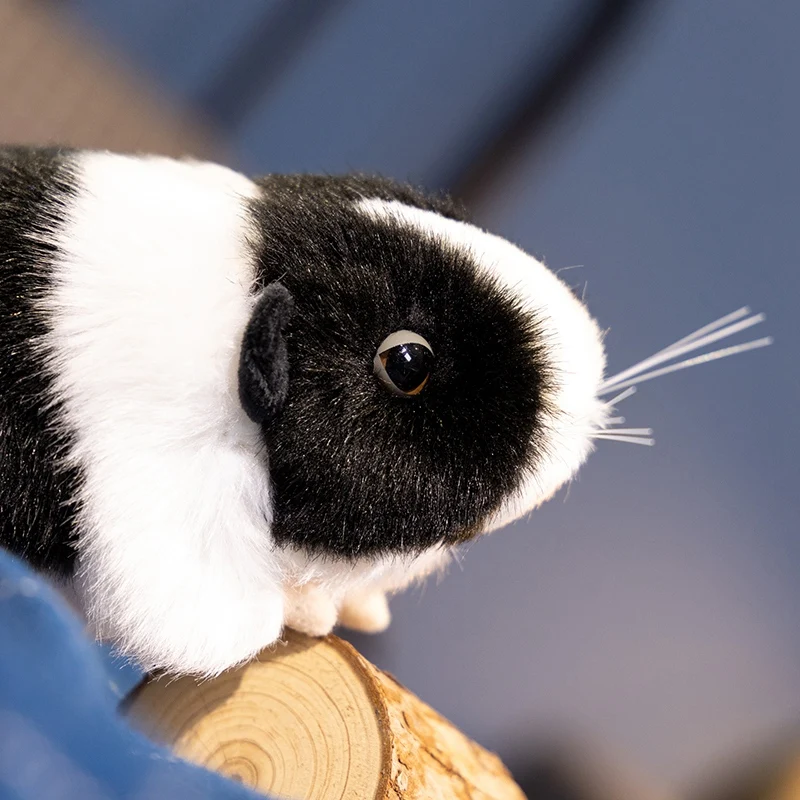 18 سنتيمتر خنزير غينيا لطيف ألعاب من نسيج مخملي Kawaii الهولندية خنزير ماوس محشوة دمية على شكل حيوان ديكور المنزل هدية عيد ميلاد عظيمة لصديق أو أطفال #5