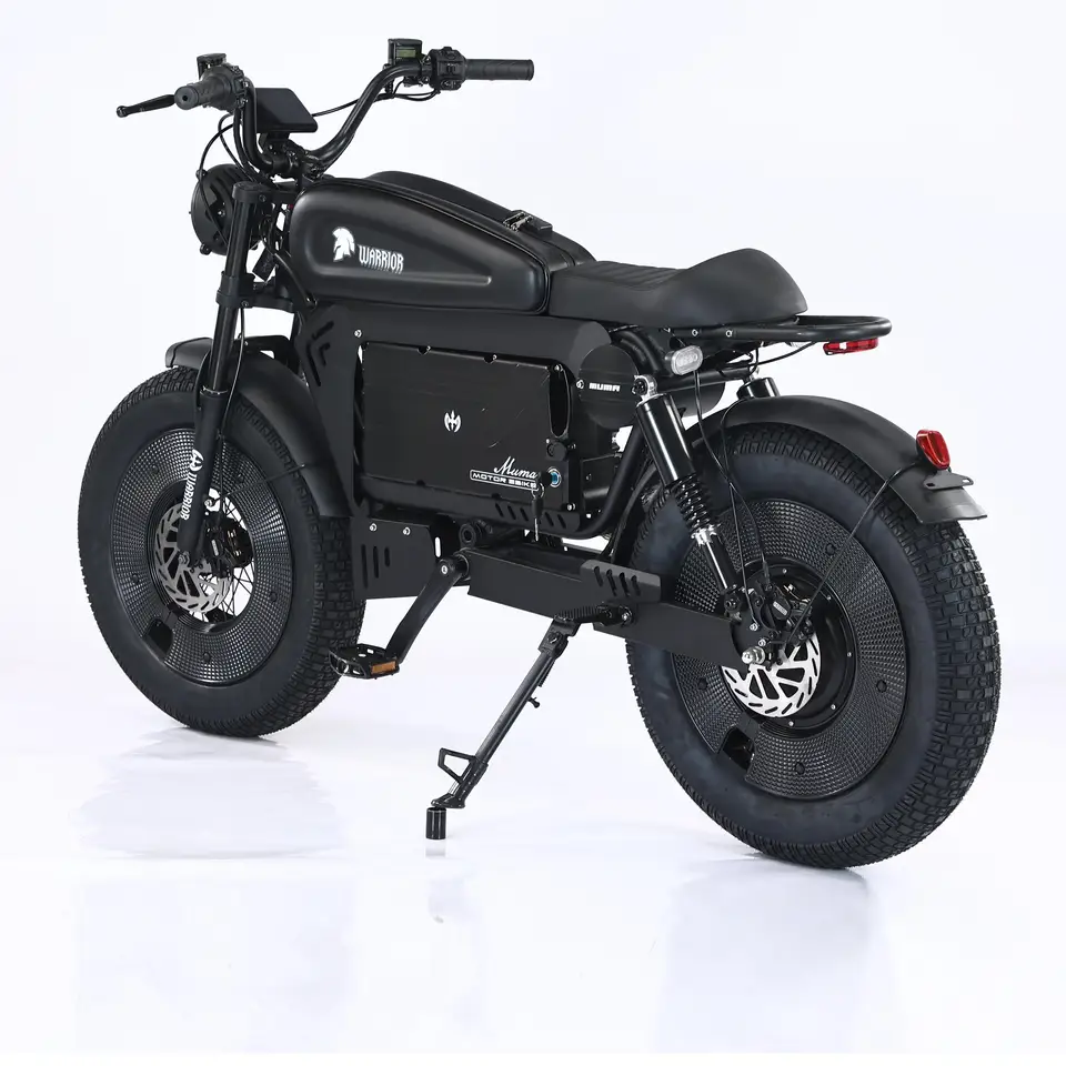 -SS10 20 Inch 3000W Rear Hub Motor US Black Warrior Ebike 30AH/60AH Lithium Battery 140KM Electric Off-road Mountain Bike image 9