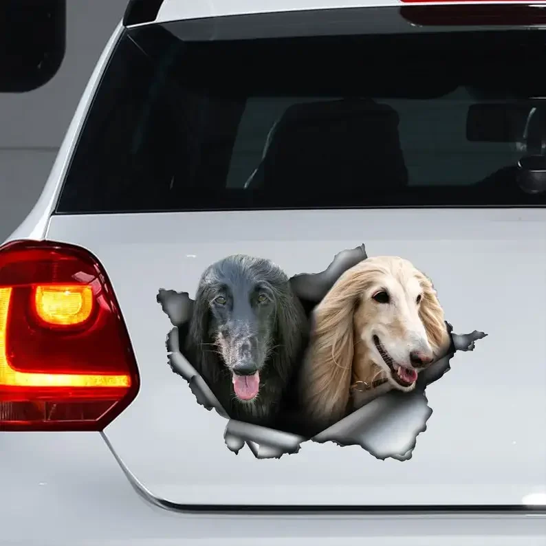 

Afghan Hound dogs decal , Black Afghan Hound car sticker, white Afghan Hound magnet