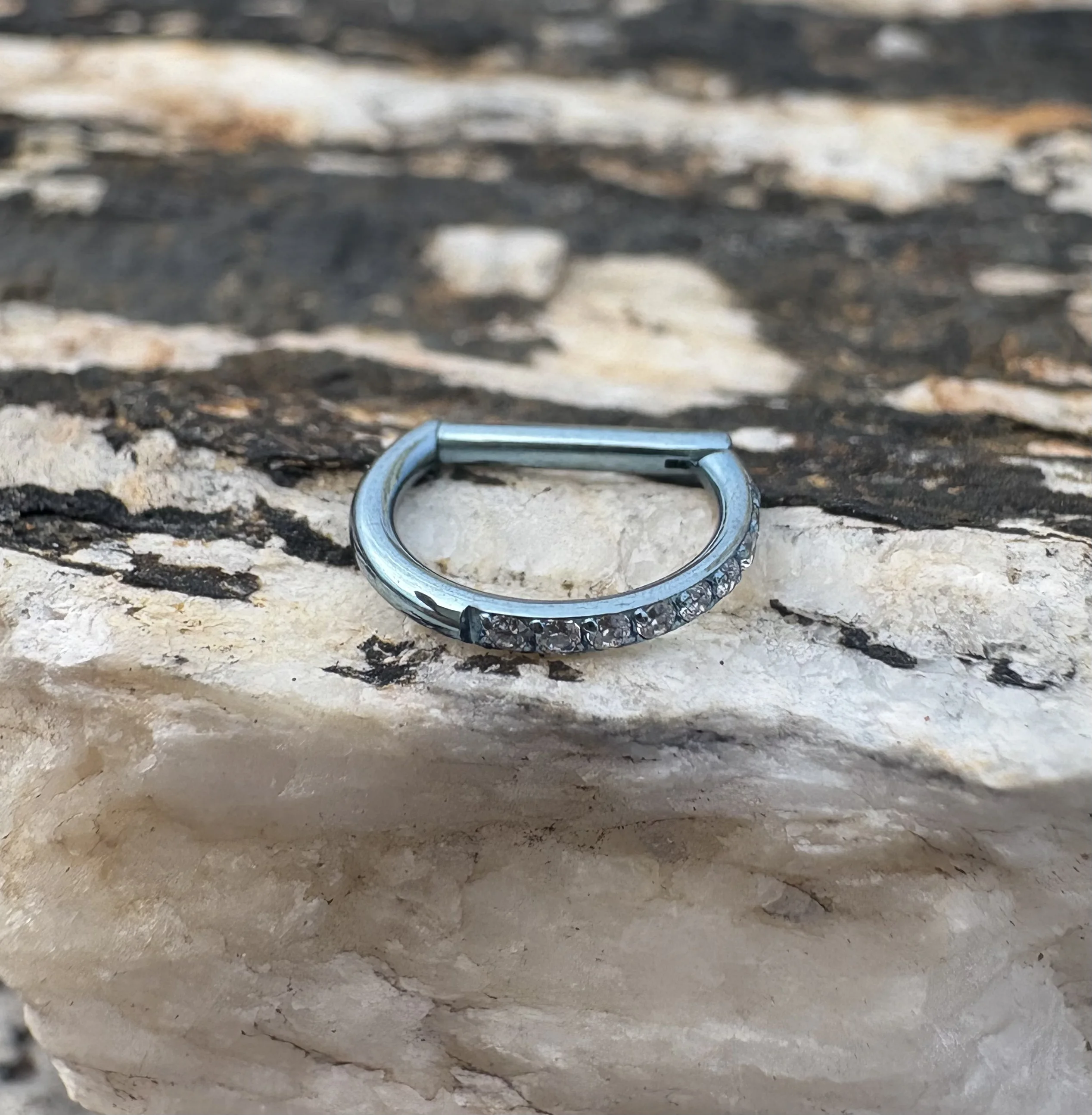 16G Implantat Grade Titan Side – Body Jewelry Implant Grade Bewertung und Preis