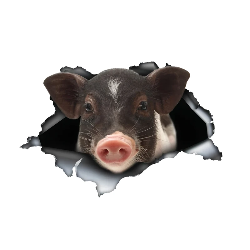 DK528# Mini pet pig 3D Sticker, Fun Waterproof Sticker for Cars, Trucks, Motorcycles, Walls, Windows, PVC Material