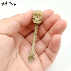 1/12 Scale Alien Human Skeleton Vertebra Skull Model for 6in Action Figure Scene Collection Toy