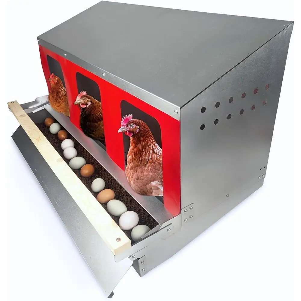 

Durable Triple-Compartment Chicken Nest Box, 36 Long, Galvanized Steel