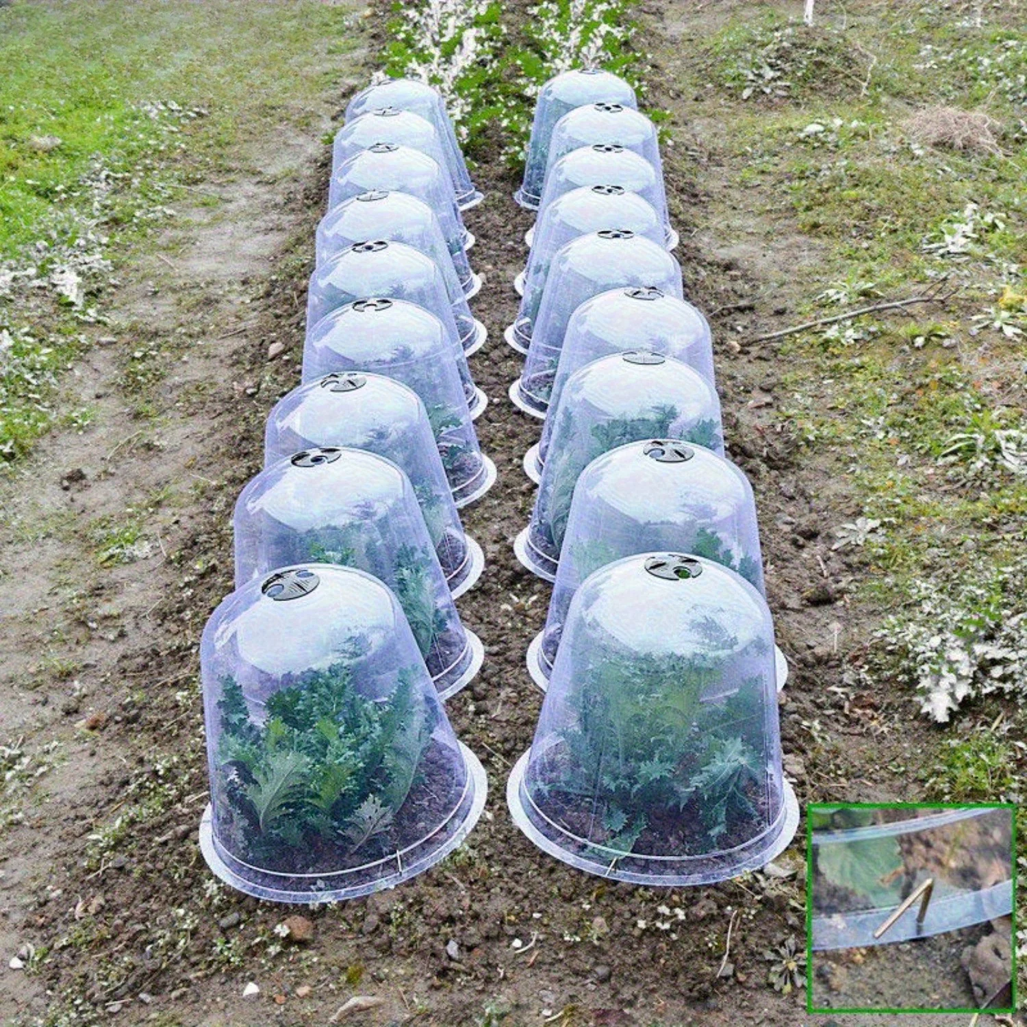 Reusable Plant Covers Anti-Bird Snail Protection for Vegetables Seedlings Low Plants Ideal for Farm Garden Yard