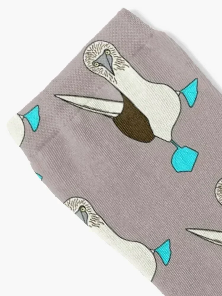 Blue-Footed Booby Socks funny gifts moving stockings Socks Male Women's