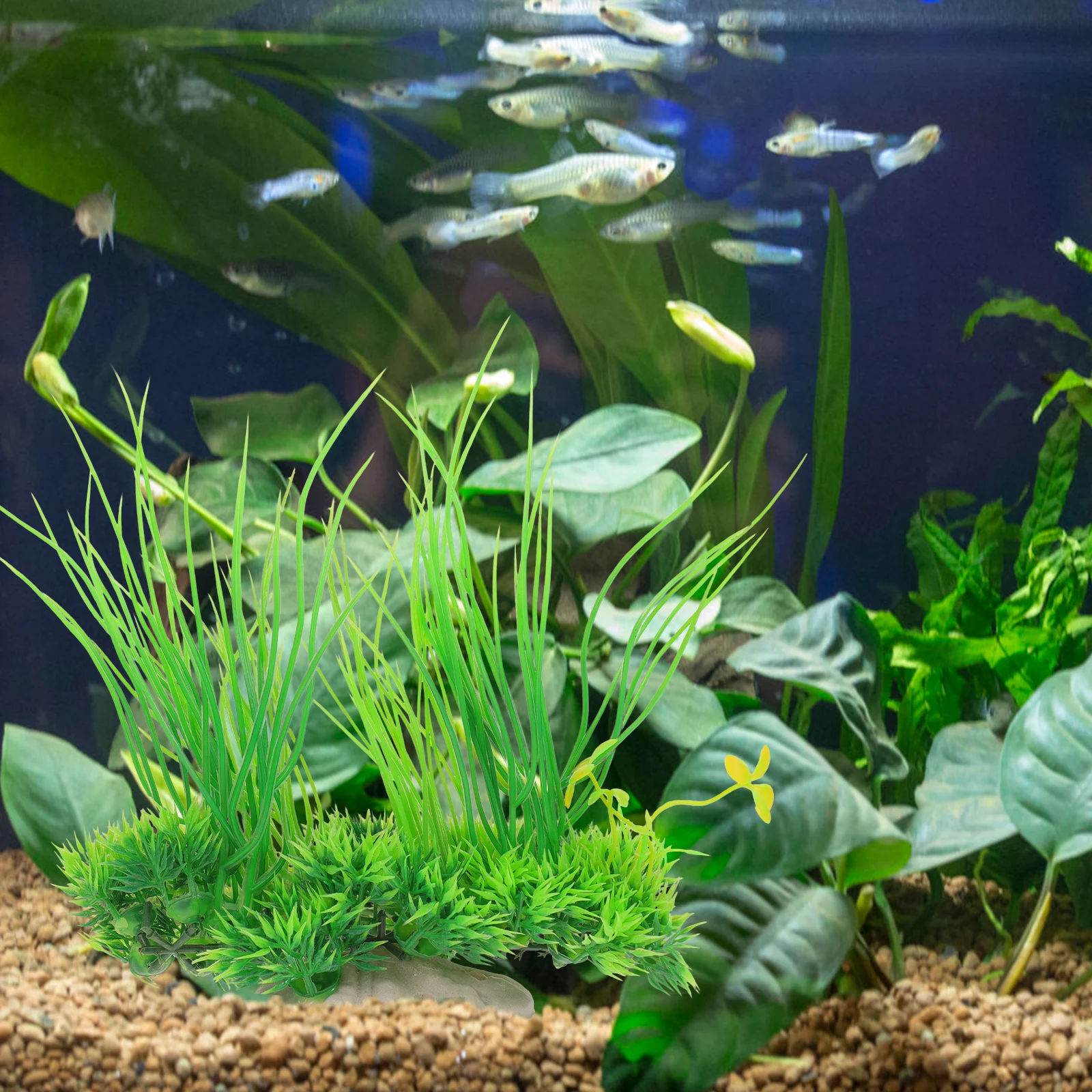 

Artificial Aquatic Plant Plastic Aquarium Decor Lifelike Green Ornament Safe Premium Material Durable Fade Resistant Easy