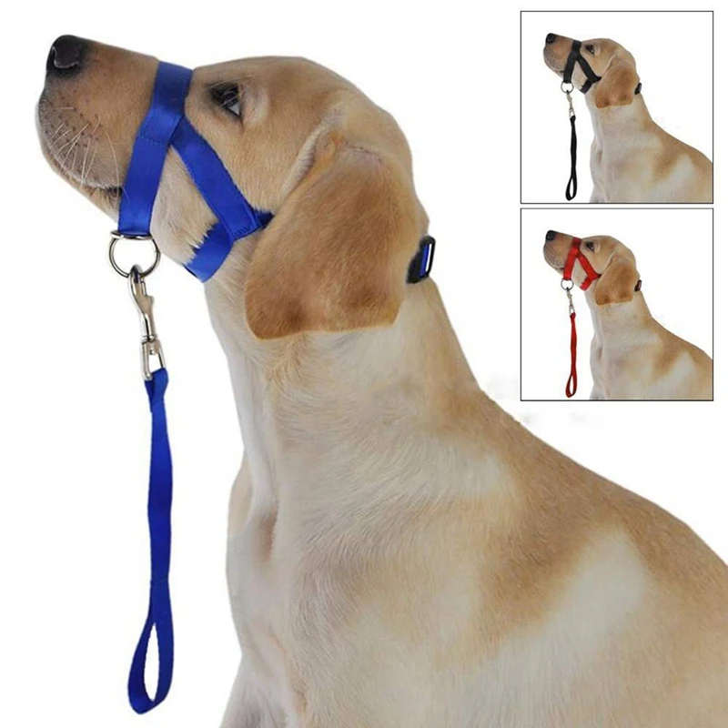 Creative Dog Halter Halti Training Head Collar Gentle Leader Harness Training Muzzles Tools for Training Controlling Outdoor