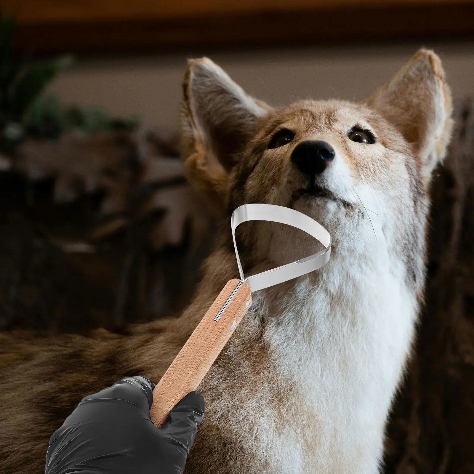 Ergonomic Long-Handle Fleshing Scraper Tool – Stainless Steel for Leather Skiving, Trimming, Scraping & Burnishing