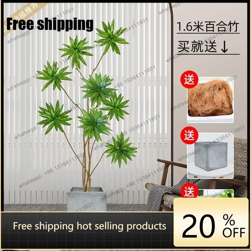Factory DirectLily Bamboo Simulation Green Plant Fake Green Plant Simulation High-end Light Luxury Living Room Landscaping