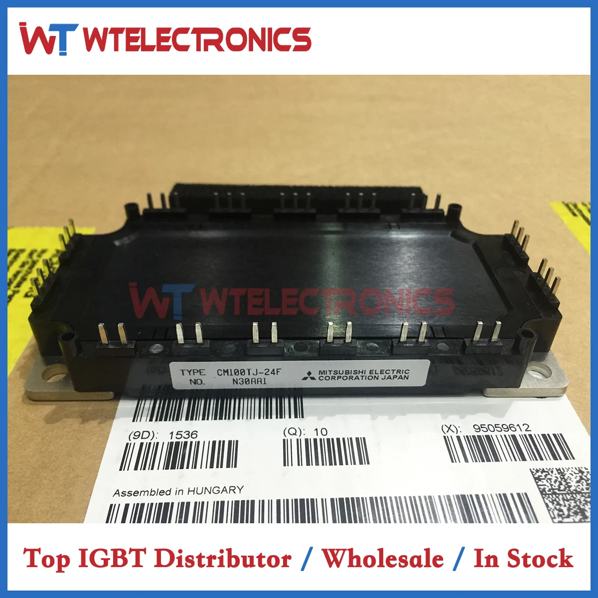 

CM100TJ-24F CM100TJ 24F CM100TJ24F Original Japan IGBT Module