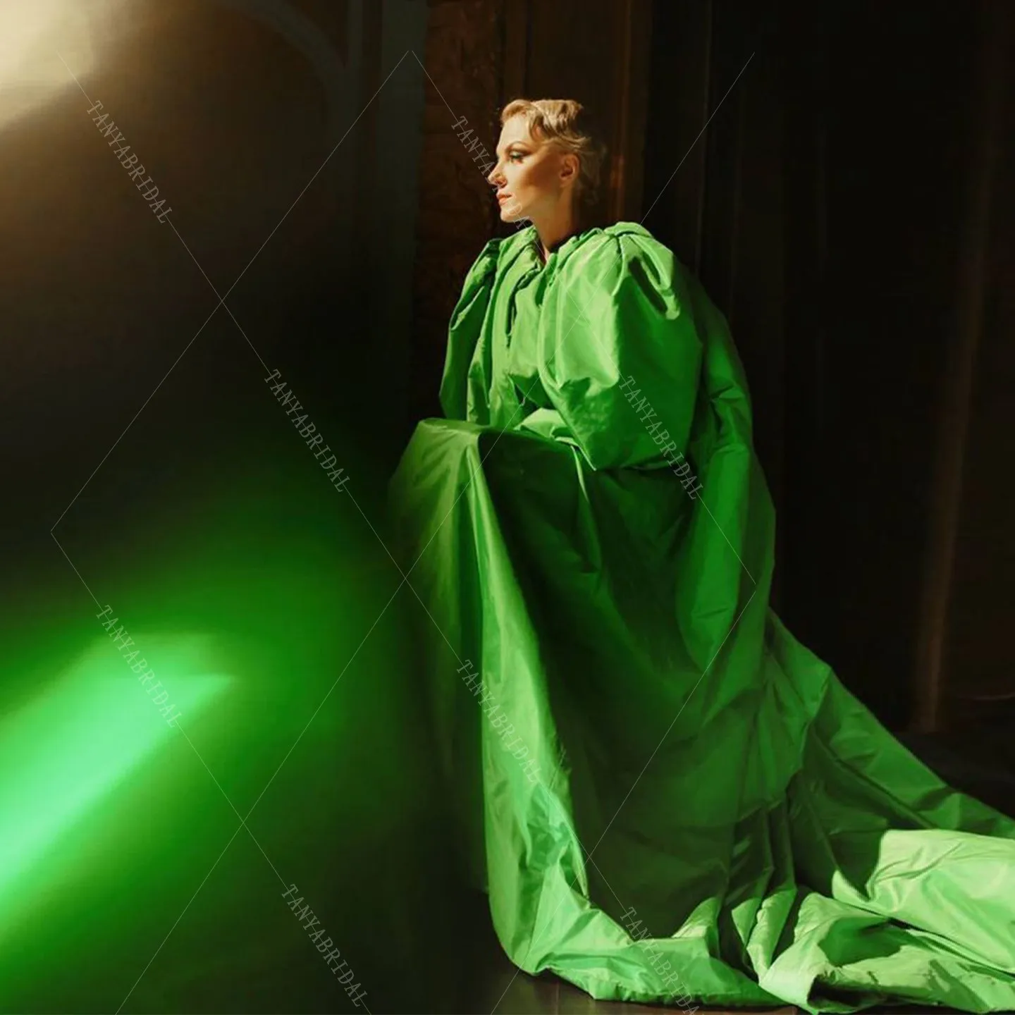 Stunning Green Taffeta Cape Fashion Long Sleeves Women Wrap Jacket Evening Party Detachable Cape Not Include Dress TSWD912