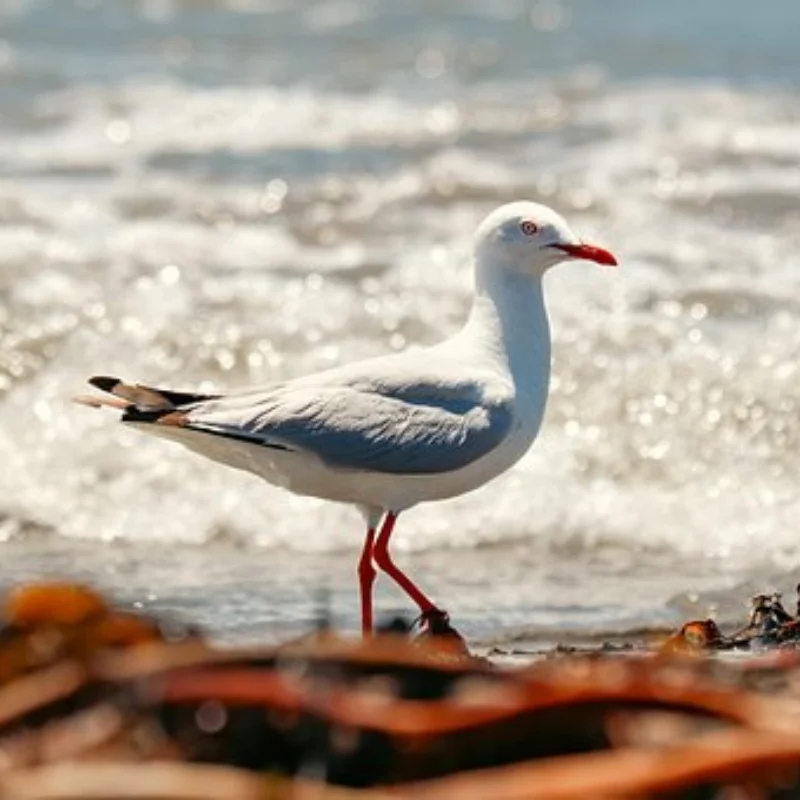 

4 шт., 120 мм, 1,9 резиновая шина для 1/10 RC гусеничного автомобиля Trxs TRX4 RC4WD D90 Axial SCX10 90046 II III Redcat