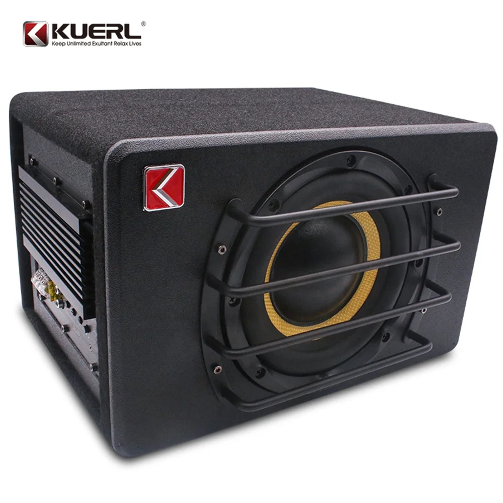 Direct Manufacturer New Style 12V Car Active Subwoofer 8 Inch Double Coil Car Audio Amplifier Subwoofer With cable bag