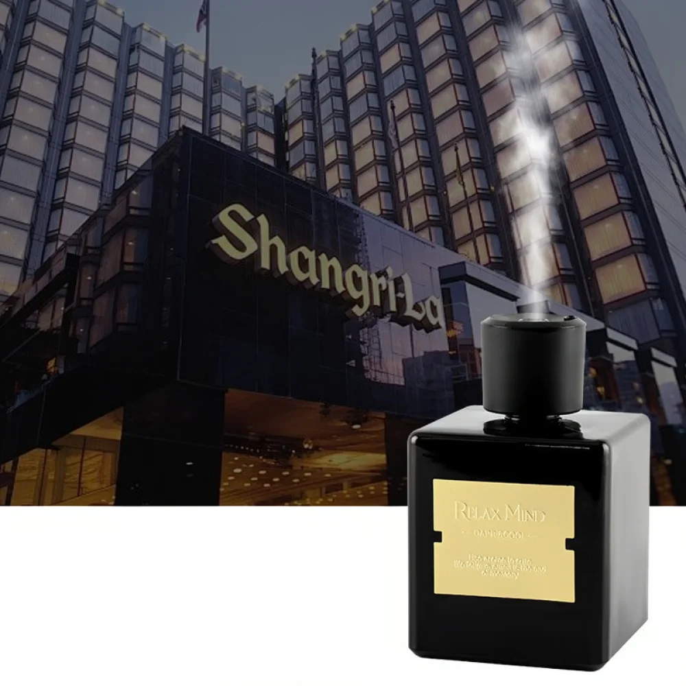 Electric Aromatherapy Machine Automatic Essential Oil Sprayer Air Purifier Device Portable Fragrance Diffuser For Indoor Space image 3