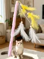 Feather cat teaser