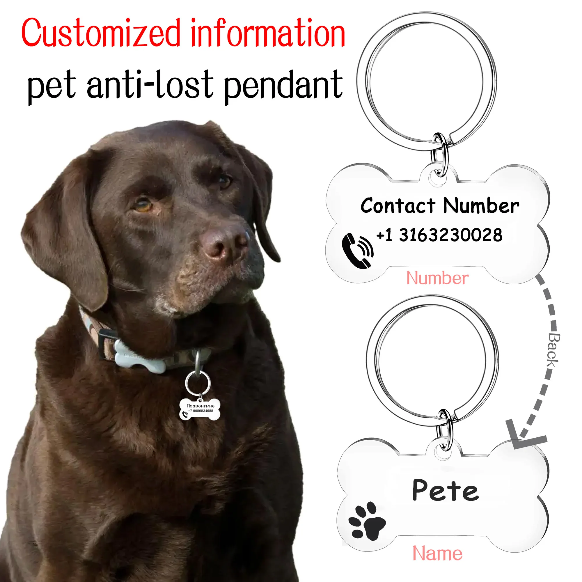 Custom Pet Anti-Lost Information Card Keychain Phone Name Bone Fish Pendant Dog Cat Necklace Stainless Steel Pet Supplies