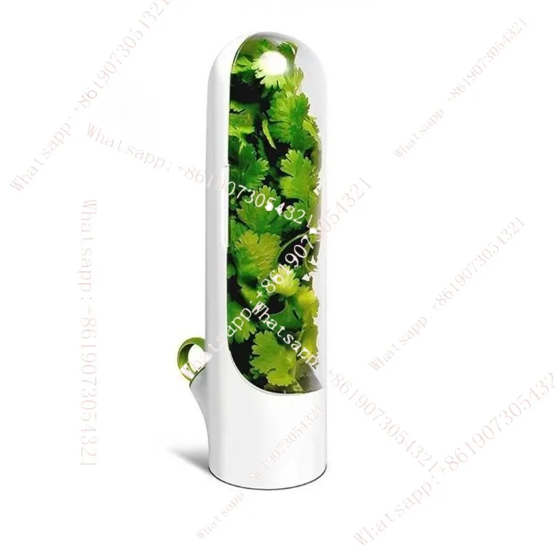 

Vanilla vegetable crisper anti-crushing environmental protection crisper creative coriander crisper cup