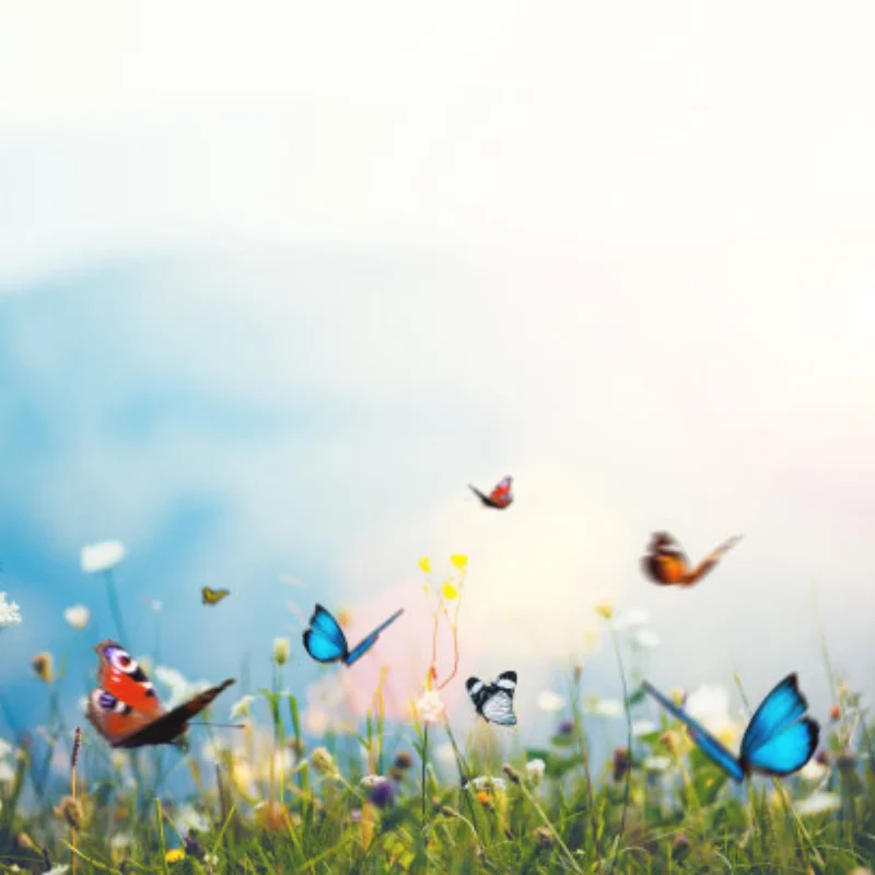 

4 шт., 98 мм, 1,9 дюйма, супервязкость, резиновые шины, колесные шины с бисером, обод колеса для 1:10 RC Crawler