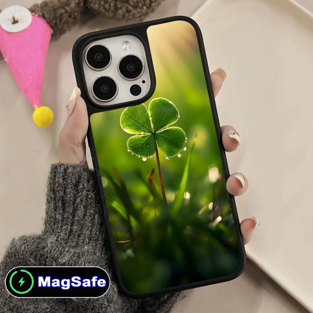 Dew Leaves Flowers …