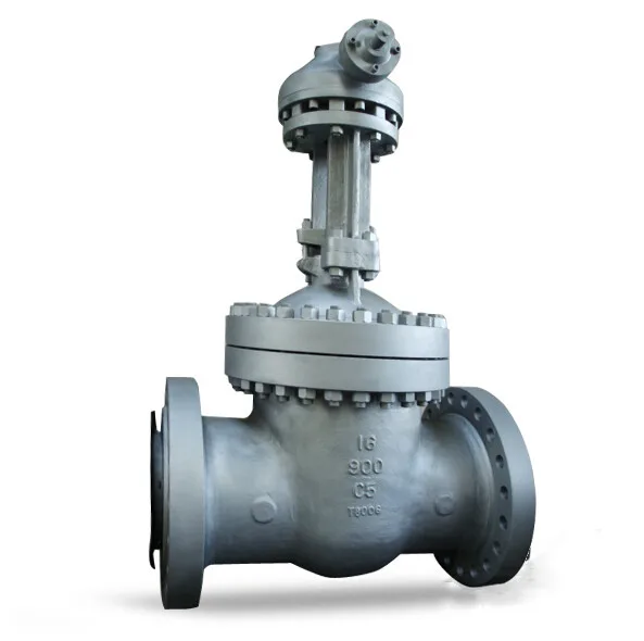 Handleiding Aandrijvingen Gate Valve